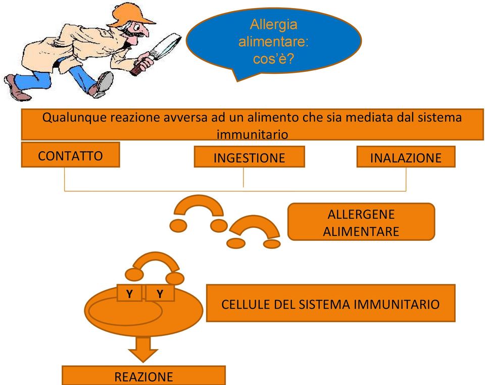 mediata dal sistema immunitario CONTATTO INGESTIONE