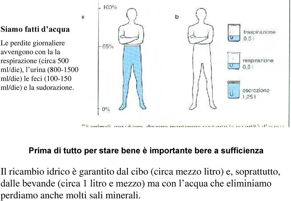 Prima di tutto per stare bene è importante bere a sufficienza Il ricambio idrico è garantito dal cibo