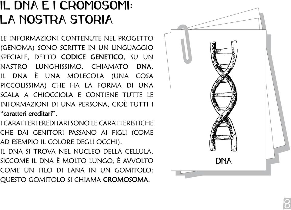 IL DNA È UNA MOLECOLA (UNA COSA PICCOLISSIMA) CHE HA LA FORMA DI UNA SCALA A CHIOCCIOLA E CONTIENE TUTTE LE INFORMAZIONI DI UNA PERSONA, CIOÈ TUTTI I caratteri