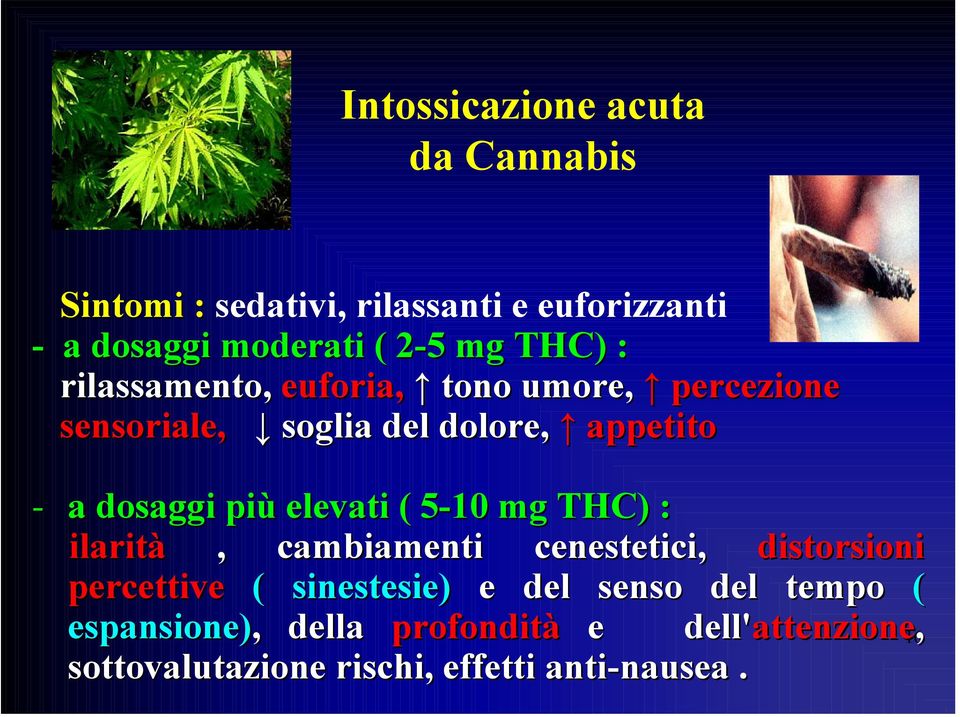 elevati ( 5-105 mg THC) : ilarità, cambiamenti cenestetici, distorsioni percettive ( sinestesie) e del senso del