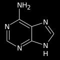13) Quale è il nome della molecola qui rappresentata?