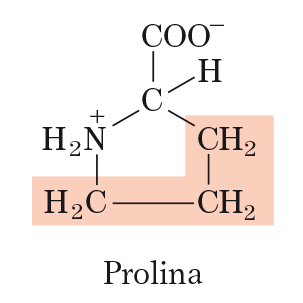 PROLINA & GLICINA: residui incompatibili con la