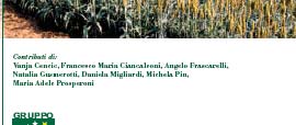 Mtep Emissioni di CO2 evitata (al 2020): 26,37 Mt/annuo Impatto occupazionale al 2020: poco meno di 100.