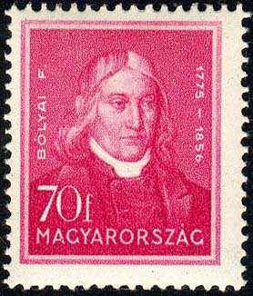 Farkas Bolyai Farkas Bolyai (1775-1854) si arrangiò con mille lavori, ma il postulato delle parallele fu il pallino