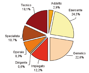 FABBISOGNO PROFESSIONALE L analisi degli avviamenti effettuati nel 2008 suddivisi secondo la qualifica professionale evidenzia la consistente richiesta di figure professionali maggiormente