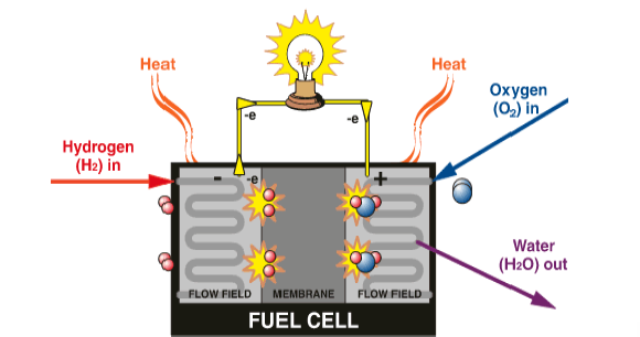 Fuel cells L ossigeno viene alimentato nel comportamento catodico: catodo di grafite