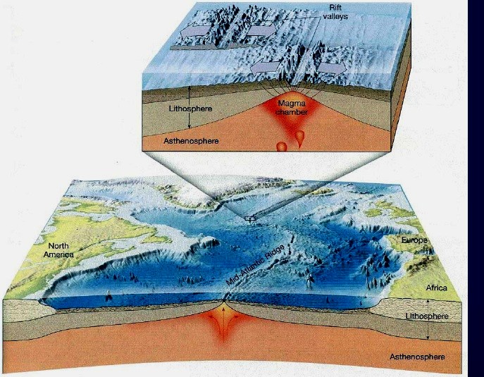 Le eruzioni vulcaniche nelle dorsali medio - oceaniche danno origine a nuova crosta che va a formare