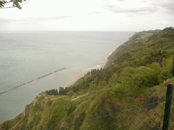 La costa del Parco Monte San Bartolo si estende dal limite meridionale dell abitato di Gabicce fino alla foce del fiume Foglia ed i sedimenti che caratterizzano l area sono costituiti da ciottoli e