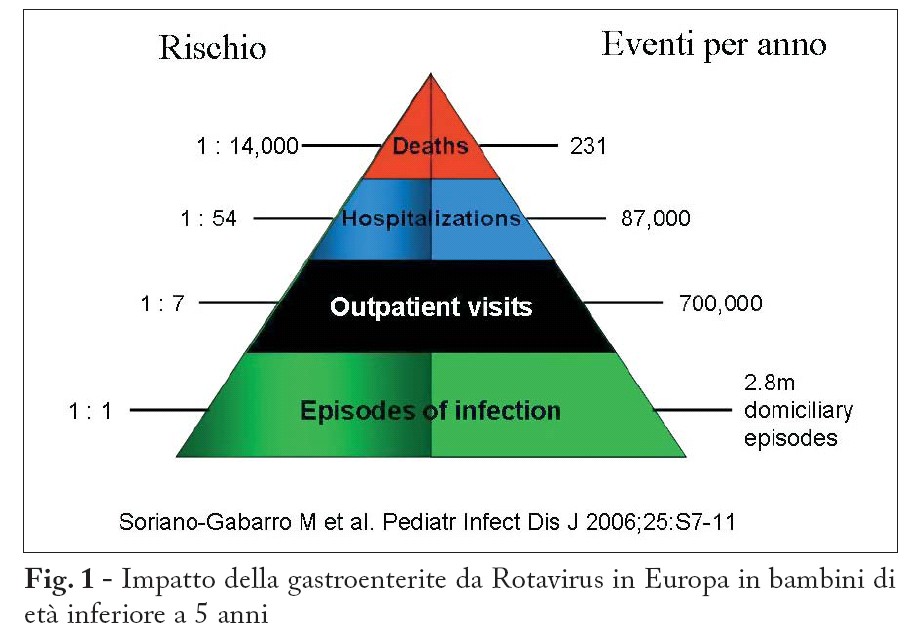 La gastroenterite da Rotavirus