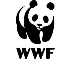 BANDO DI CONCORSO WWF Palermo Onlus Art.