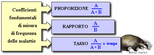 Rapporti, proporzioni e tassi Rapporti e proporzioni sono misure statiche, che si intendono effettuate in un determinato istante e nelle quali non viene considerata la