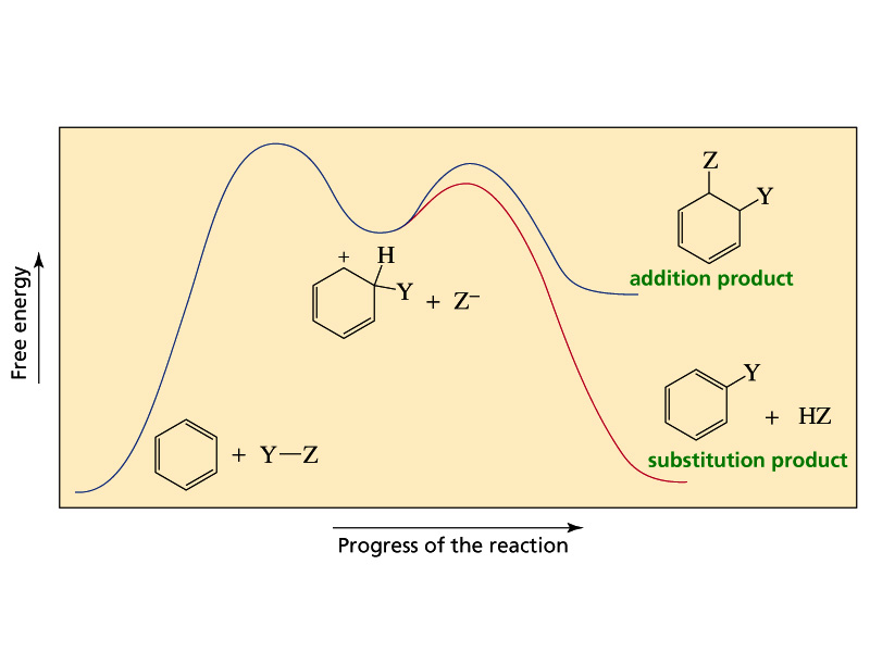 Unità didattica 7 (segue) Reattività del benzene Il benzene è ricco di eletroni π, per cui è un nucleofilo che reagisce con gli elettrofili Se avvenisse anche il secondo stadio dell addizione, il