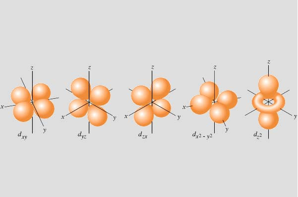 Rappresentazione grafica degli orbitali d dell atomo