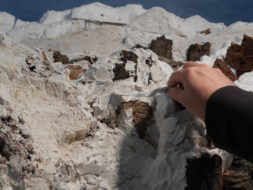 1. Vari tipi di roccia Vi mostriamo negli esempi che seguono le rocce dei piani del presepe utilizzando una tecnica mista con gesso e elementi naturali.