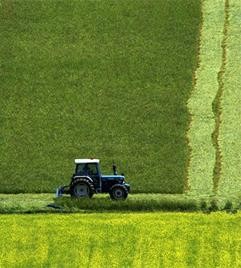 I ritiri ventennali dei seminativi consistono nell'interruzione della pratica agricola per 20 anni e nella creazione di habitat di pregio quali, ad esempio, zone umide, complessi macchia radura,