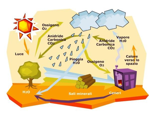 Sviluppo delle Biomasse Conferenza di Kyoto 1997 promuove l utilizzo di energie rinnovabili per contenere inquinamento