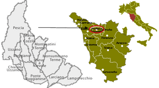 Sezione anagrafica Denominazione Distretto Calzaturiero della Valdinievole Sede del Distretto La Valdinievole rappresenta uno dei tre sistemi geografici in cui si divide la provincia di Pistoia.
