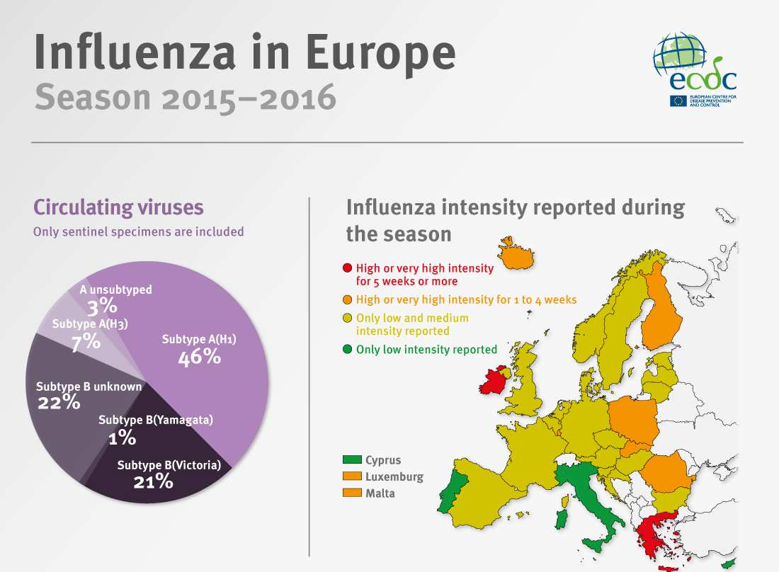 INFLUENZA EUROPA (STAGIONE 2015-2016) Inizio stagione: 52 settimana 2015 Picco tra la 5 e la 7 settimana 2016 Colpita con maggiore intensità la regione orientale Predominanza di virus A H1N1 pdm09