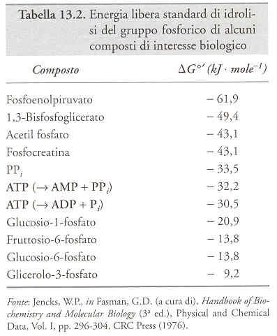 Possono trasferire un gruppo P all ADP