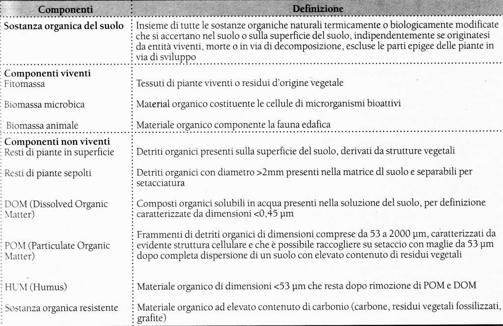 Definizione e forme della