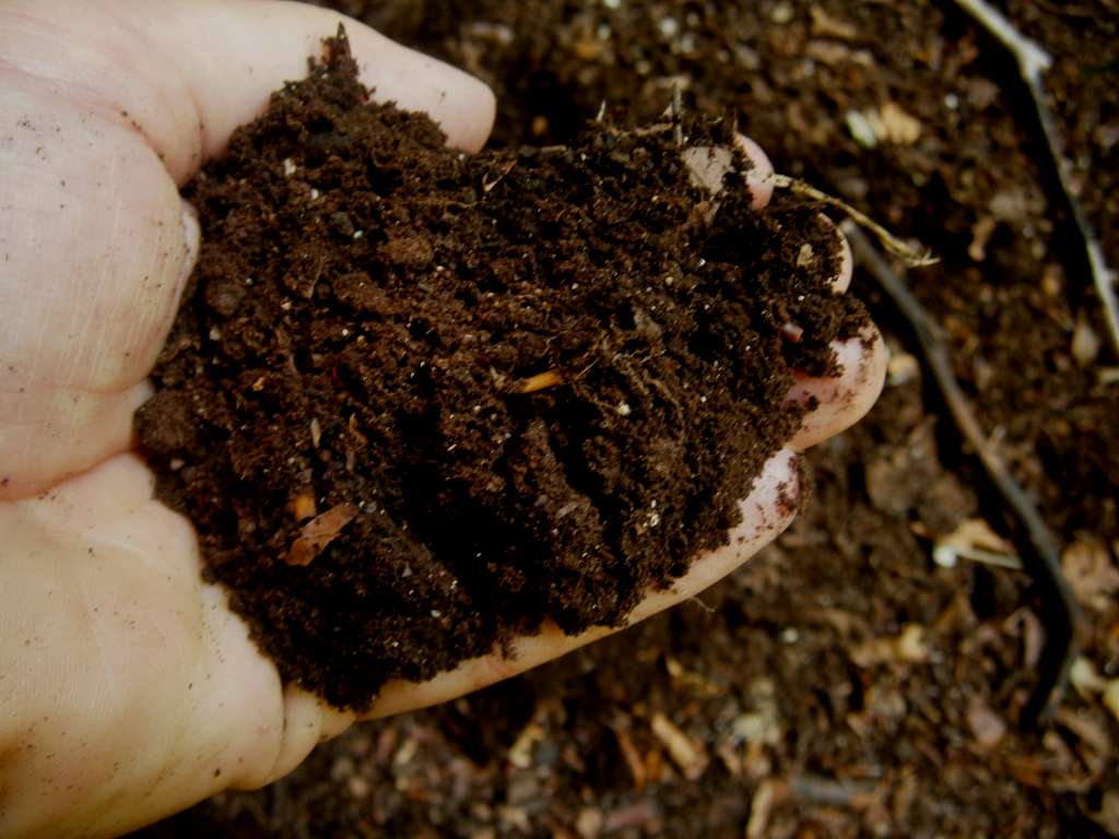 Humus Le sostanze umiche sono una serie continua di molecole con peso da meno di 1000 Da 