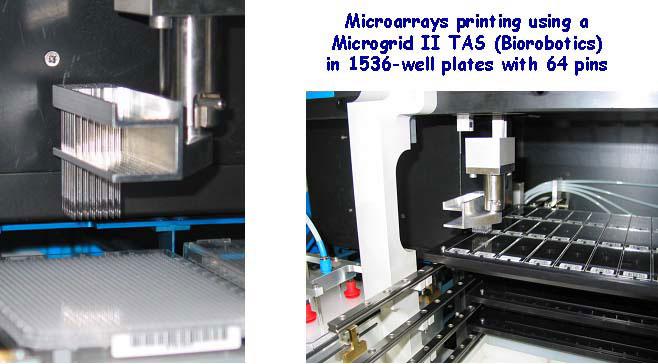 Microarray