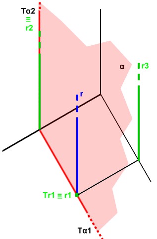 2. Retta al PO ed al piano α // al PL L'immagine a seguire rappresenta una retta normale al PO appartenente ad un piano α parallelo al PL. L'aggettivo normale è spesso sinonimo di perpendicolare.