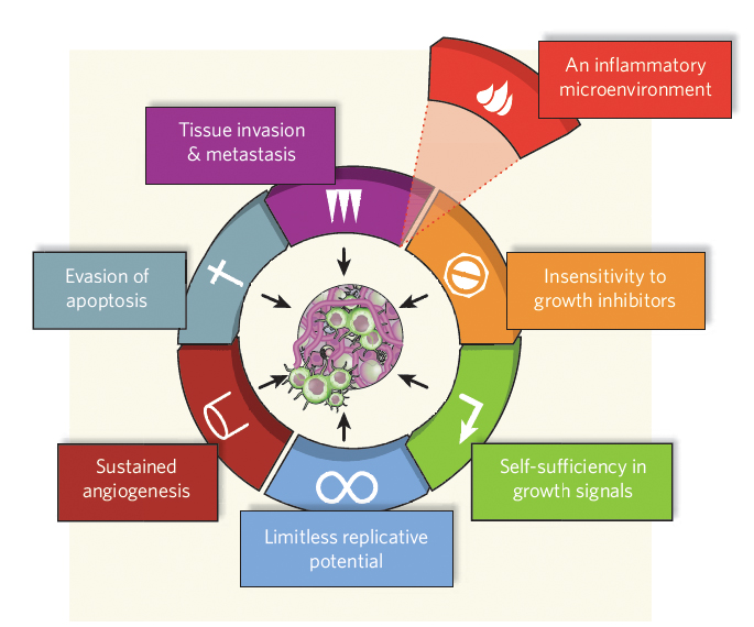 Hallmarks of cancer, cell 2000