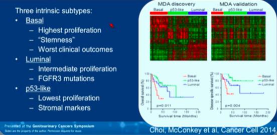 Gene expression profiling (GEP) suggests 3 main