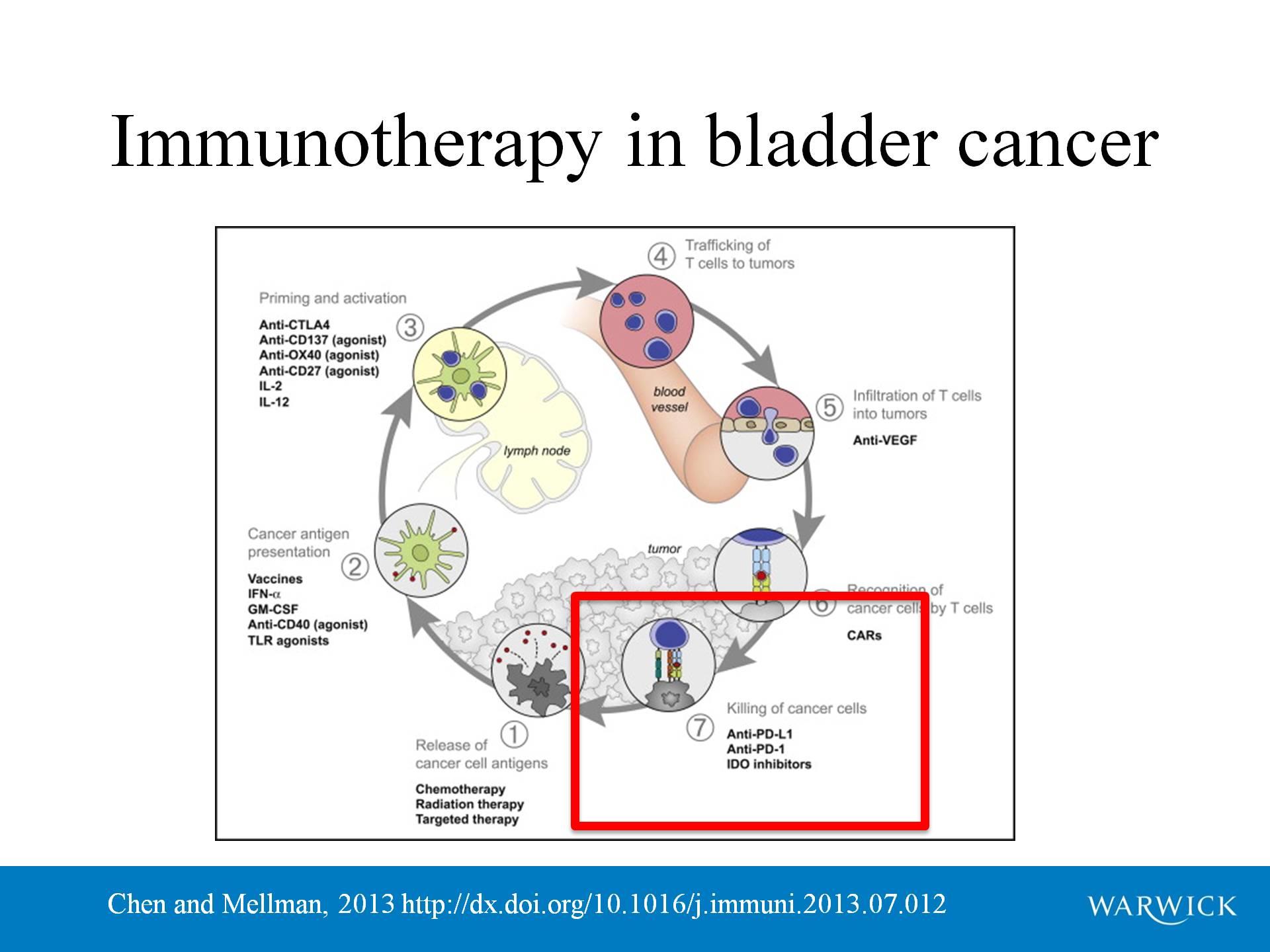 Ruolo dell' oncologo nei tumori infiltranti o localmente avanzati Immunotherapy in