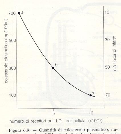 Dominanza incompleta in Ipercolesterolemia Familiare (FH) a: individui HH, b: Hh, c: hh La forma