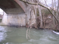 La sezione 421(2003) individua un ponte che presenta problemi di erosione della pila in alveo (Foto7). Inoltre si segnala un degrado dell argine in cls specie in sponda destra. Foto 8. Sezione 422.