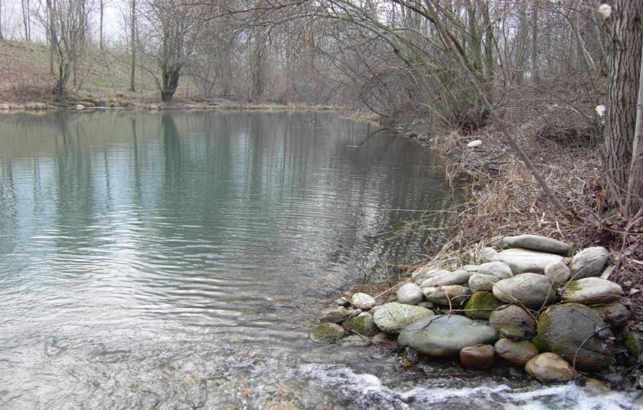 Esempi di intervento: creazione o riqualificazione zone umide Parco Regionale Grigna