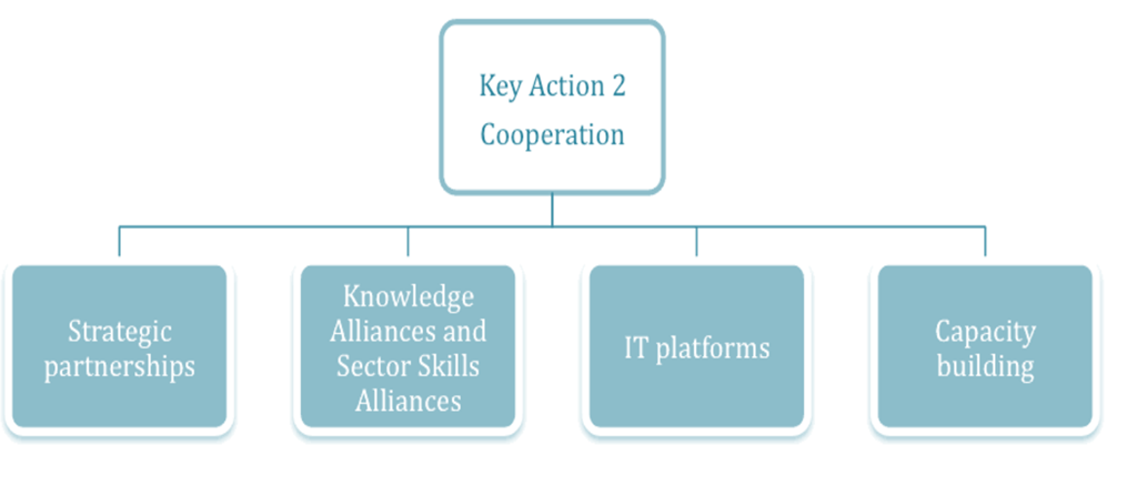 Key Action 2 Cooperazione