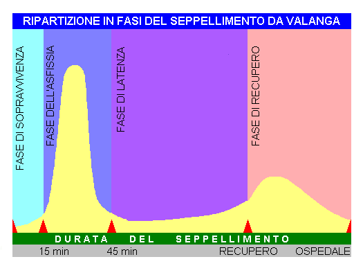 ricerca artva 6 seppellimento in valanga sopravvivenza fasi del seppellimento: sopravvivenza asfissia latenza recupero gli scampati hanno ancora a disposizione una riserva d aria dopo circa 20 minuti