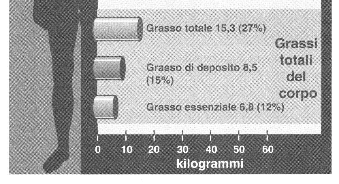 Variazioni dovute al sesso la donna ha una massa grassa