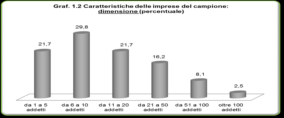 Grafici Fonte: Ance Piemonte Fonte: Ance Piemonte 11 Indagine