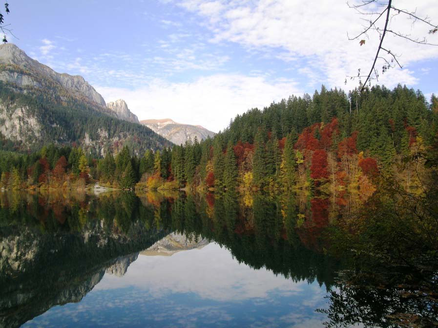 CRONOSCALATA TUENNO LAGO DI TOVEL L Associazione Amici del Mountain Bike di Tuenno organizza MARTEDI 2 giugno 2015 (Festa della Repubblica) a Tuenno in Valle di Non (Provincia di Trento) la 10ª