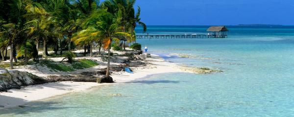 Cuba - Cayo Coco Durata: 8 Giorni e 7 Notti Periodo: Gennaio - Ottobre 2017 Destinazione: Cuba Tipo Vacanza: Cuba Struttura: Hotels 4 stelle - 5 stelle Trattamento: Tutto incluso La Nostra Proposta