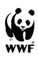 SOFIDEL La strategicità della collaborazione con WWF 50 Anniversario Sostenibilità INDIVIDUO Marketing Nel corso degli anni della