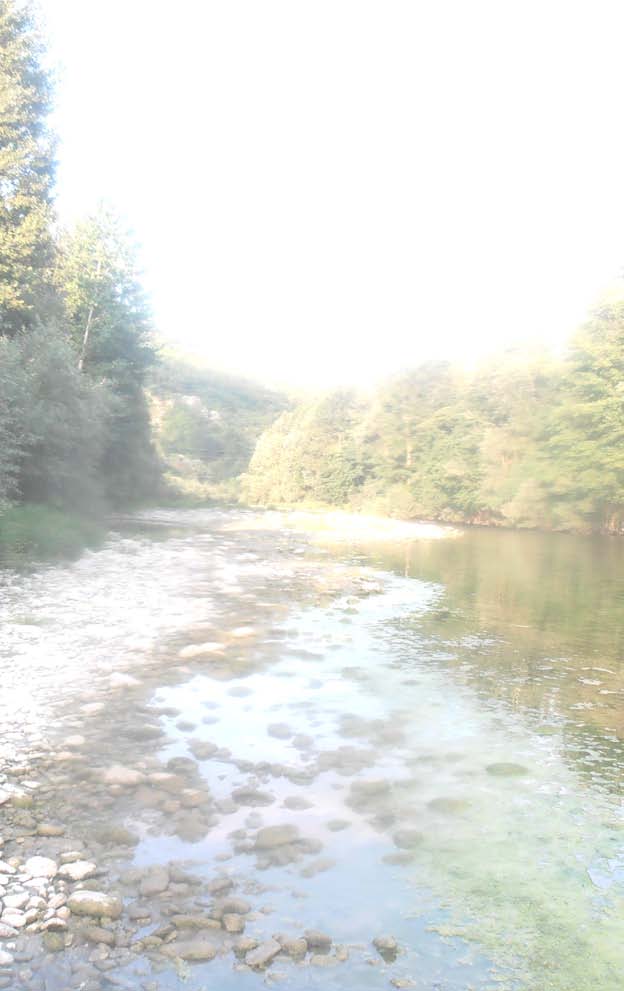 REGIONE PIEMONTE PROVINCIA DI CUNEO COMUNI DI CASTELLINO TANARO E CEVA IMPIANTO IDROELETTRICO SUL FIUME TANARO in località "Piantorre" Documentazione integrativa in risposta alla richiesta formulata