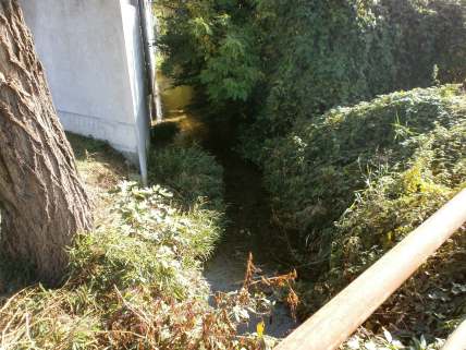 Estratto 4 Scheda 4a Veduta del modesto appezzamento di forma triangolare (sottoarea 2), situato a Nord della roggia irrigua.