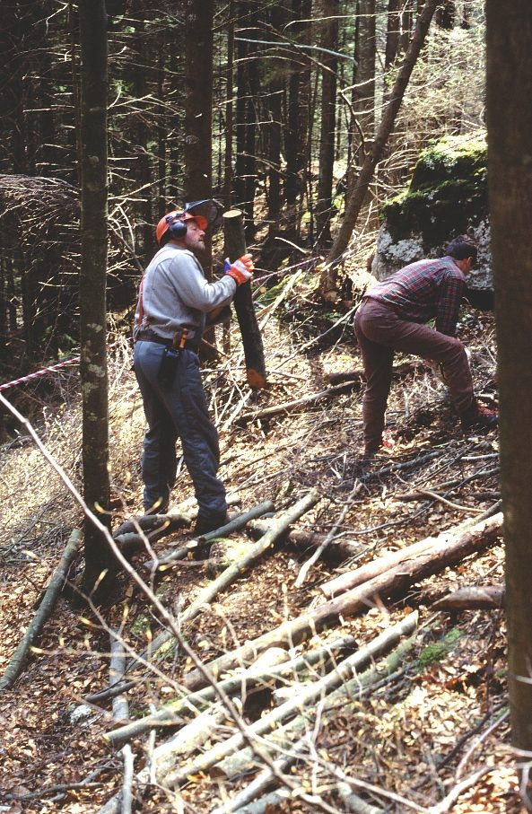 Sistema monofune, a gravità fune in acciaio, su un unica campata, con lunghezza da meno di 100 m fino a oltre 600-800 m, con pendenza da 25% a oltre 70% serve per il trasporto di legna da ardere