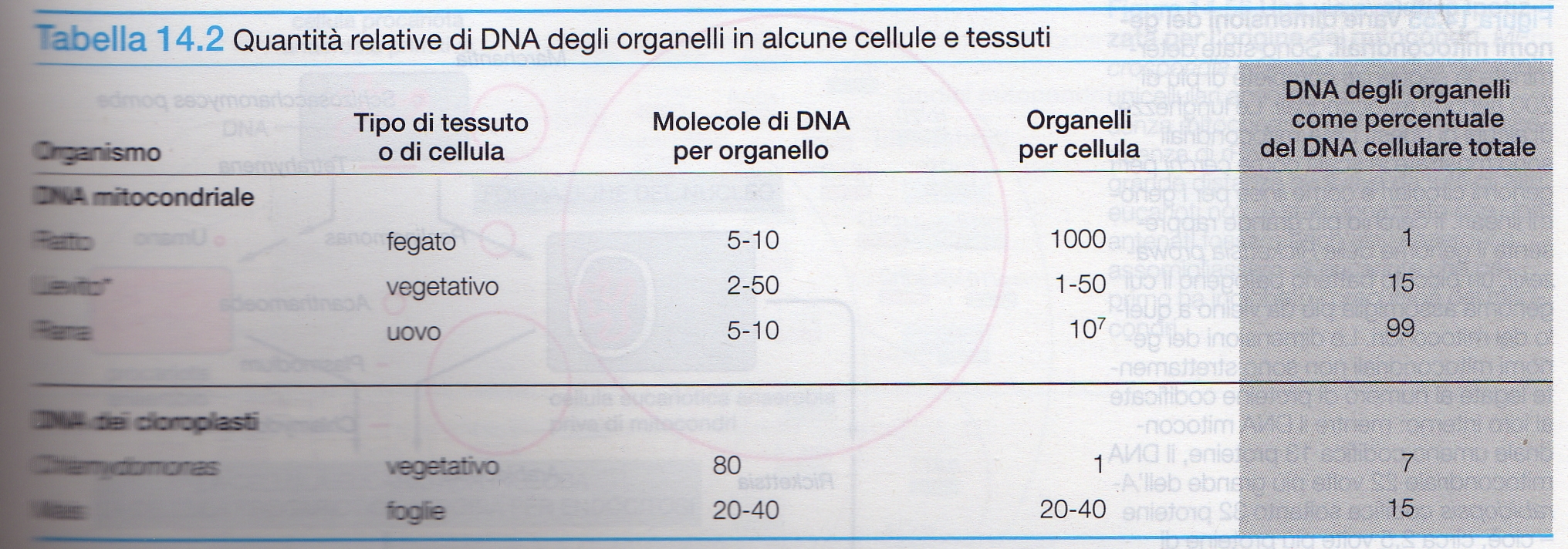 17/01/17 Genoma dei cloroplasti Il genoma dei cloroplasti è fortemente rassomigliante