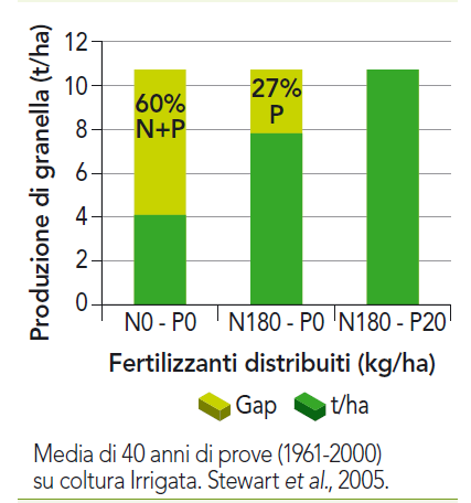 Sinergia tra concimazione