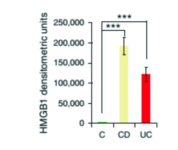 R. Vitali et al. a b Figura 2. HMGB1 è presente nelle feci di pazienti affetti da IBD.