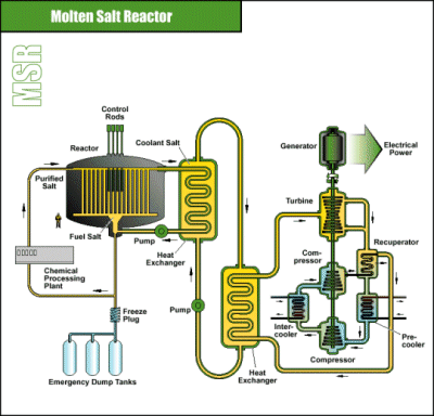 MSR (Molten Salt Reactor): reattore nucleare a sali fusi. Sono stati proposti molti progetti per questo tipo di reattore, ma sono stati costruiti pochi prototipi.