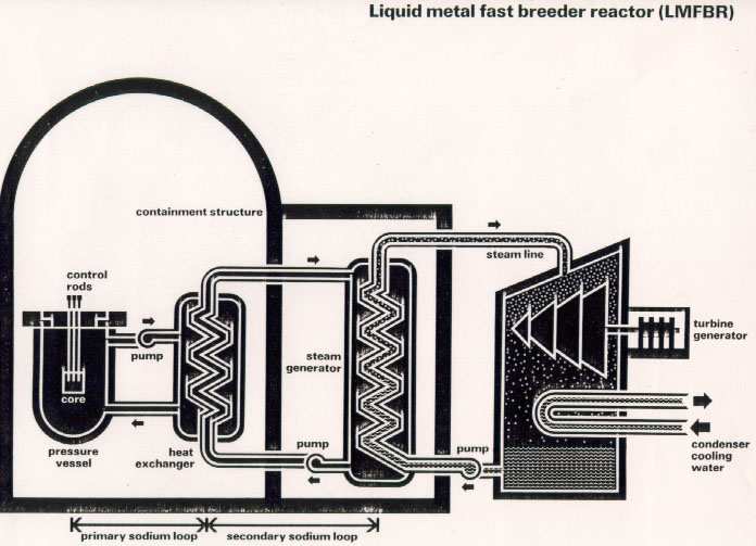 LMFBR(Liquid Metal Fast Breeder Reactor ): reattore autofertilizzante a Plutonio 239 è comunemente chiamato Reattore Autofertilizzante Veloce, in esso la funzione di refrigerante e di veicolazione