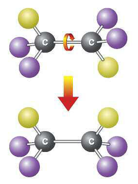 PARTE A - LA IMIA ORGANIA Esempio 2 Scrivi la struttura per il 4,terz-butil-2,5-dimetil eptano. Soluzione Il nome eptano indica che vi sono sette atomi di carbonio nella catena continua.