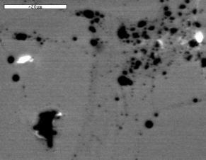 Immagine SEM di un campione in atmosfera di D 2 irradiato con laser He-Ne Sia compioni irraggiati in D2 o in H2 hanno mostrato numerosi hot spot nel film di Pd, le immagini mostrano chiaramente